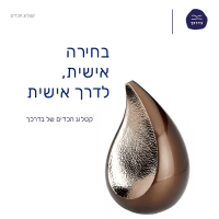 תמונת הקטלוג